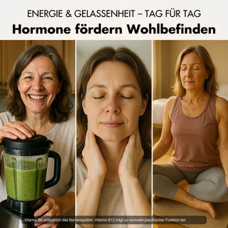 Capsule per la menopausa - Meno Balance - Formula naturale con igname, trifoglio rosso, valeriana e ferro