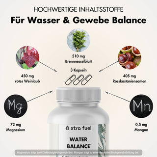 Equilibrio idrico - Complesso nutritivo 5-in-1 per l'equilibrio elettrolitico e le gambe leggere*
