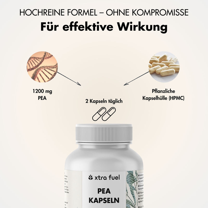 Capsule di PEA - Palmitoiletanolamide micronizzata - 1200 mg al giorno