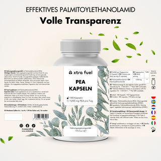 Capsule di PEA - Palmitoiletanolamide micronizzata - 1200 mg al giorno