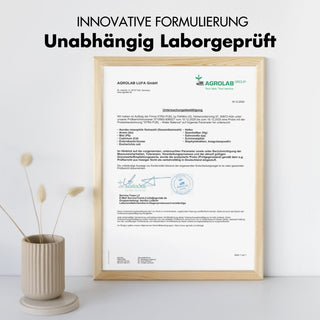 Equilibrio idrico - Complesso nutritivo 5-in-1 per l'equilibrio elettrolitico e le gambe leggere*